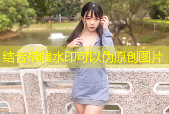 乒乓球台式样